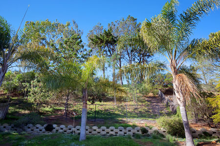 27_8474208_81101_EA-81101-127