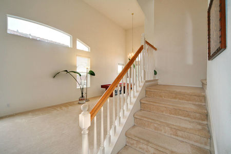 28_3645977_29181-128