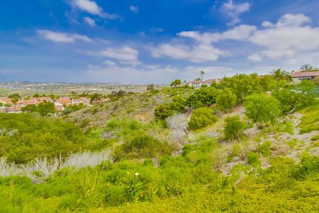 2936-cliff-circle-046_web