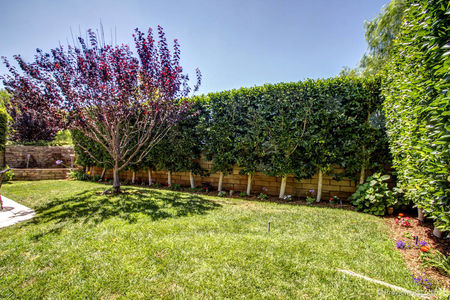 30_5818288_44975--130