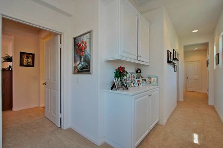 31_3701542_29547-132