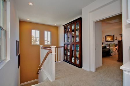 32_3701546_29547-133