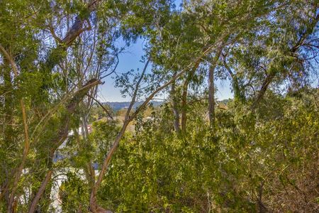 4081-carmel-brooks-way-048_web