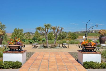 63_3701670_29547-164