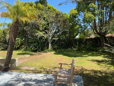 backyard 3