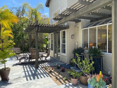 backyard2