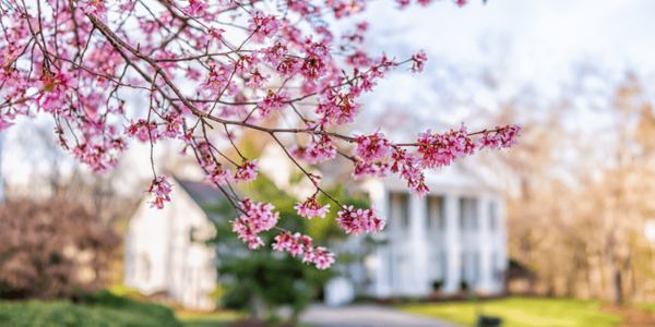 4 Ways To Make an Offer That Stands …