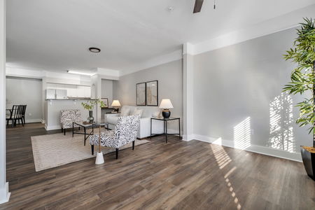 23-web-or-mls-DSCF3187