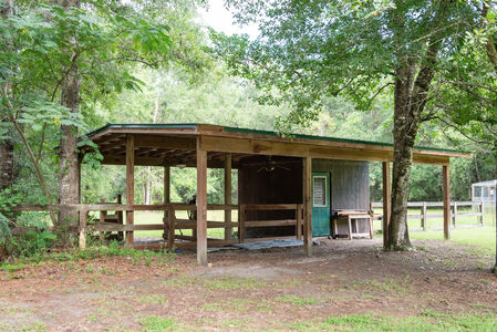 243 Turkey Run-61