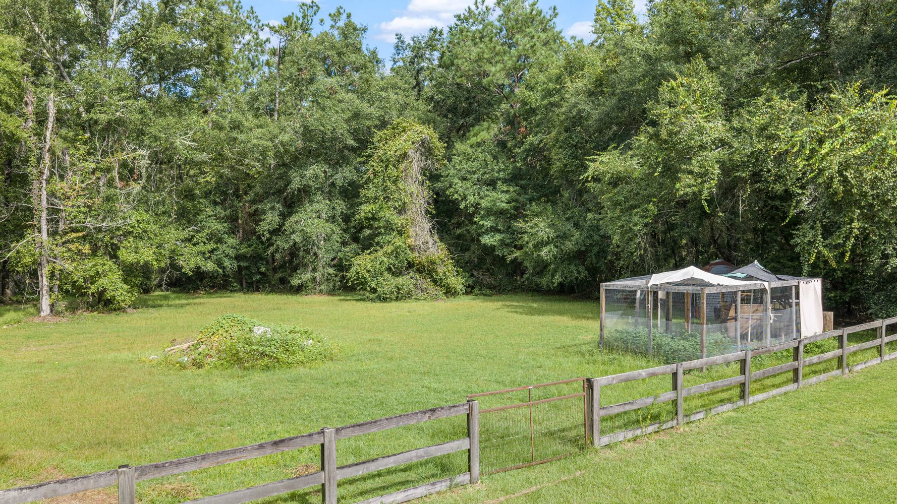 243 Turkey Run-64 Pasture