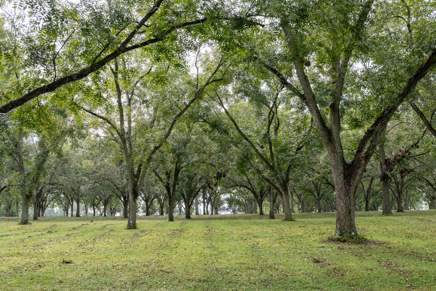 2594 Salem Road-49