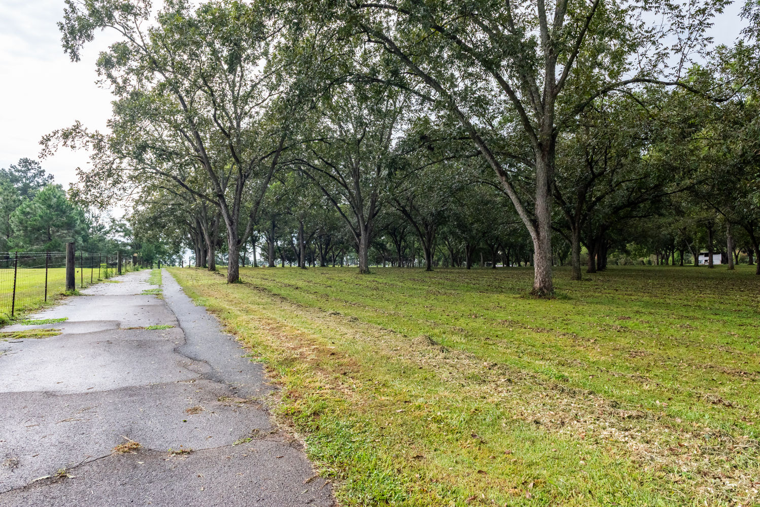 2594 Salem Road-50