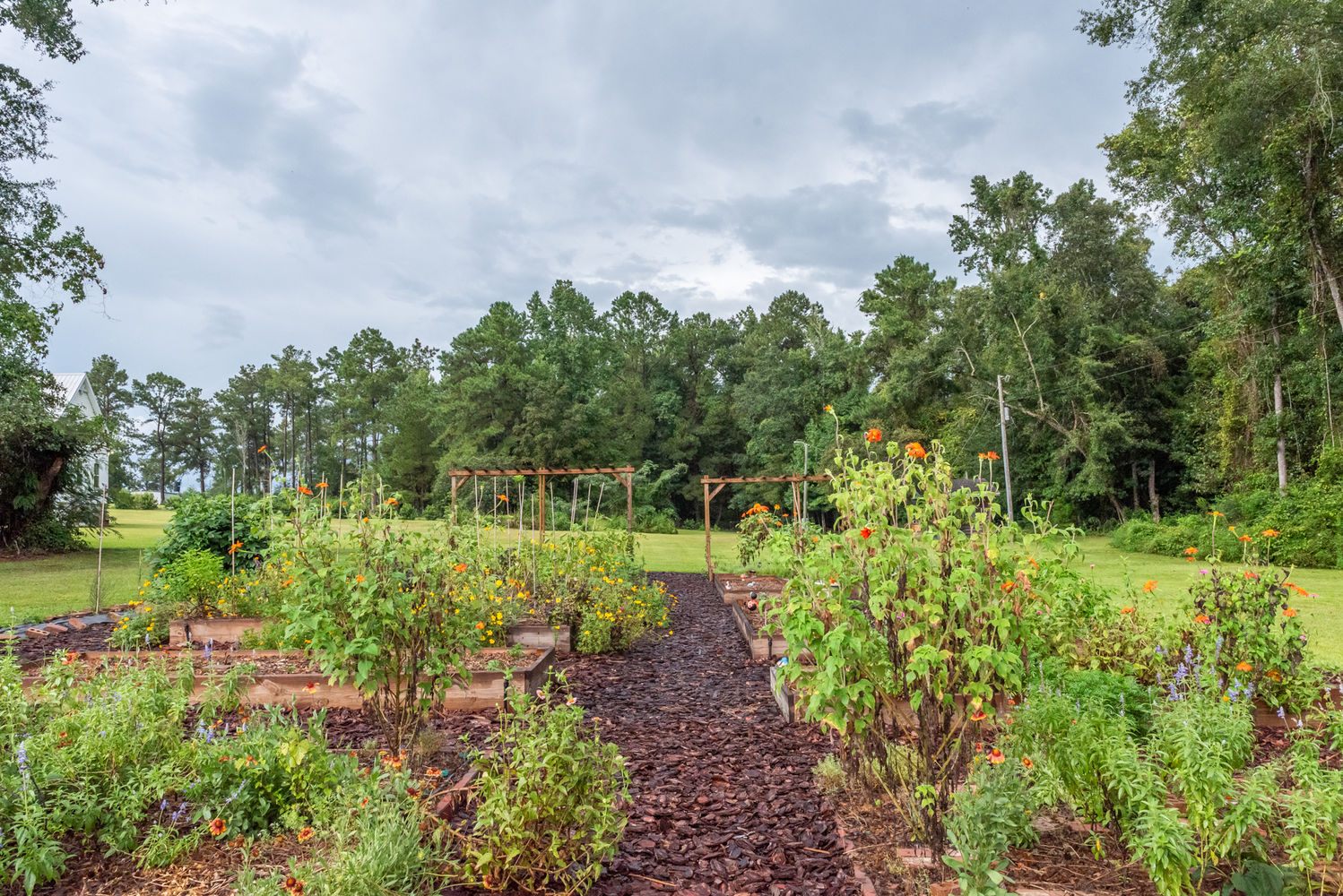 2594 Salem Road-52