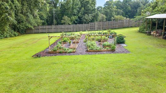 Aerial_Garden_2