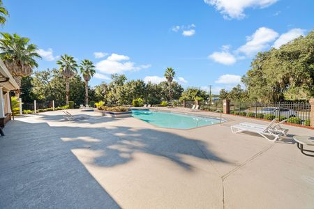 31. Pool