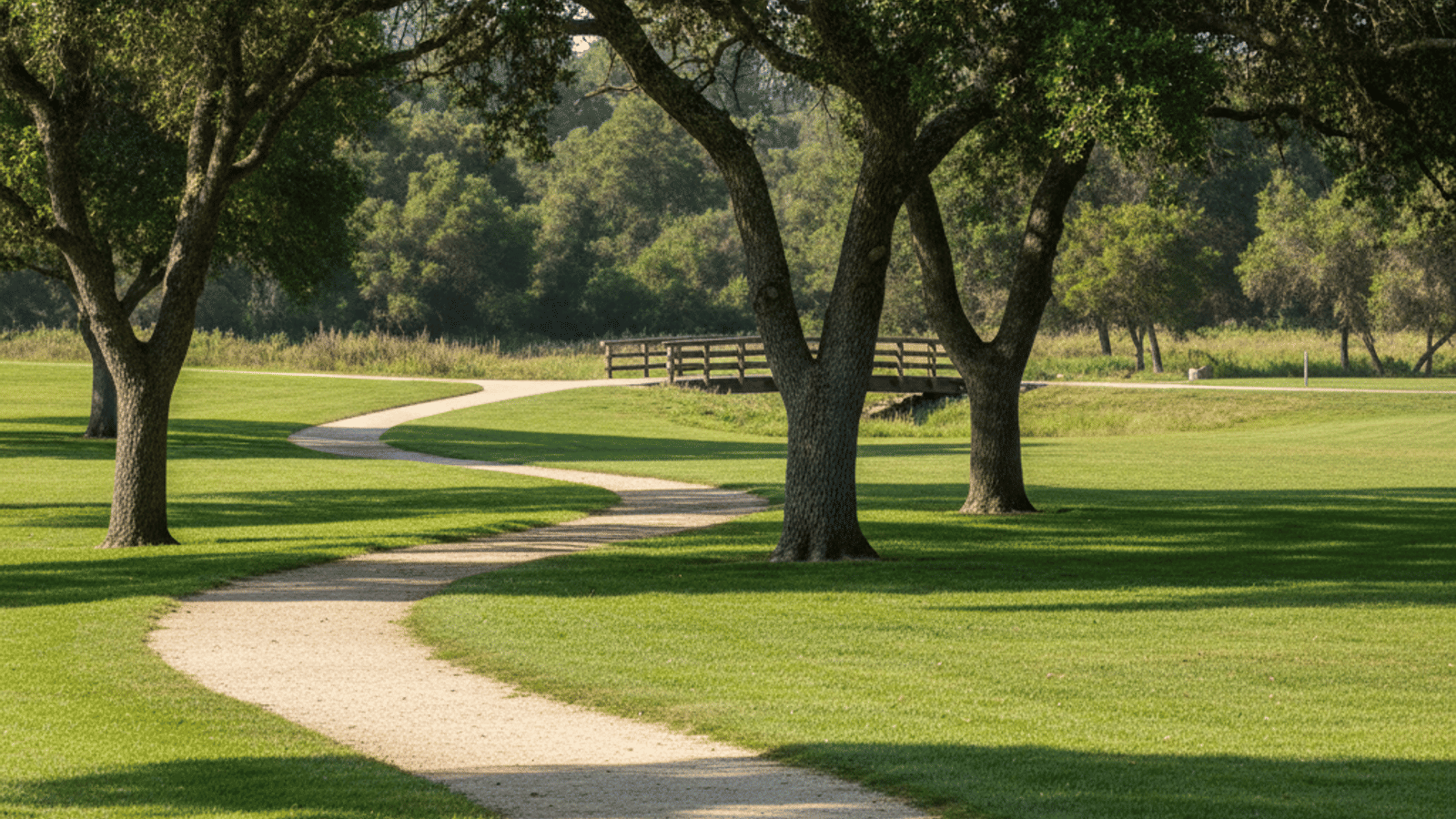 living_in_lincoln_ca_IZtlrZlQmd