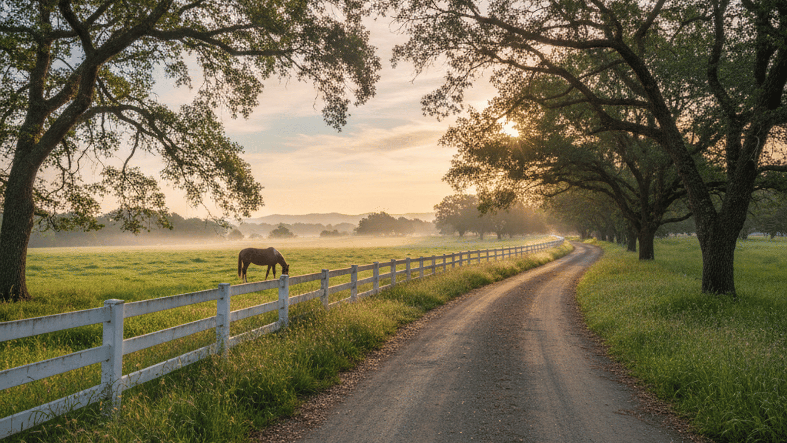 lincoln_vs_loomis_4LWYgB_g1
