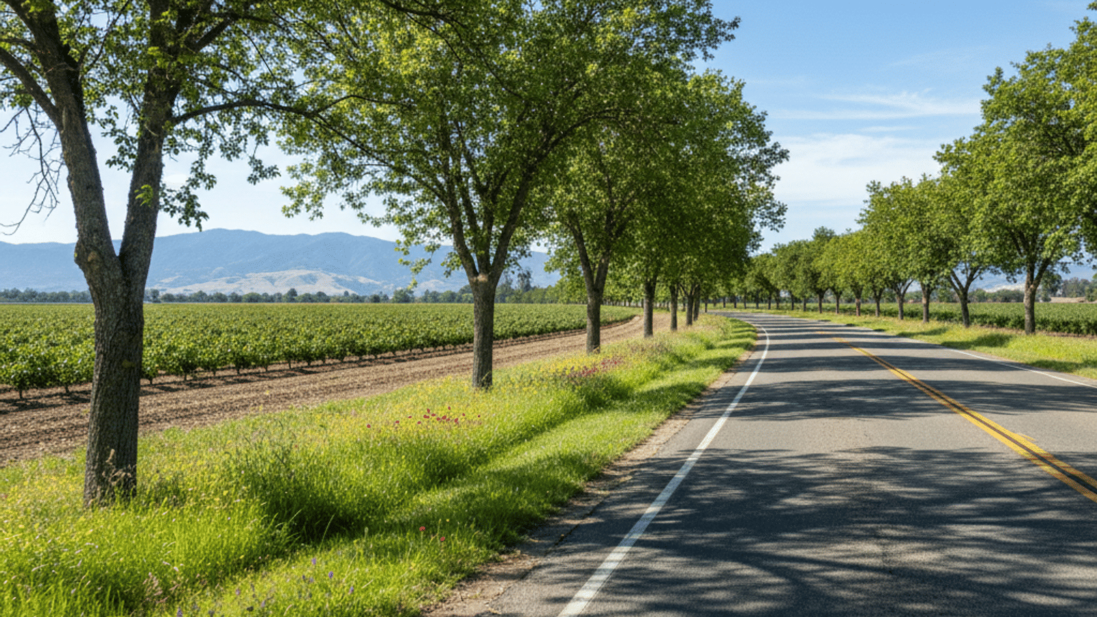 getting_around_lincoln_ca__wyXG3Cj-