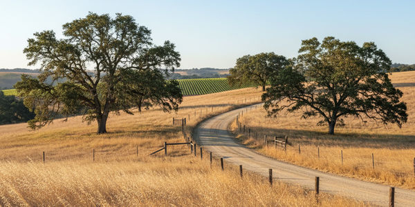 Building a Custom Home in Lincoln, CA: The &hellip;