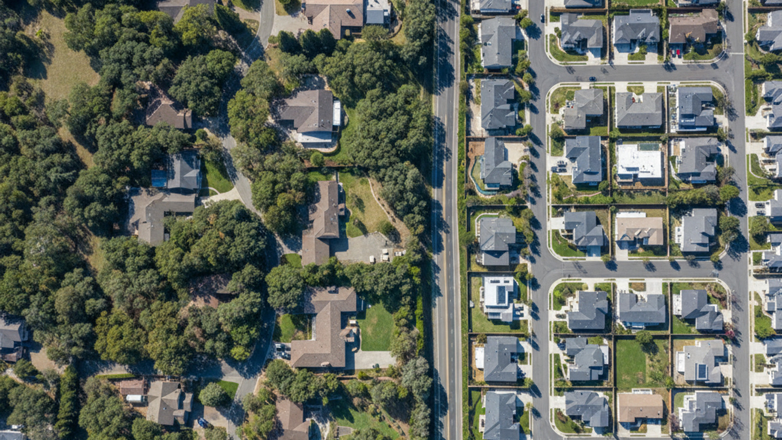 ultimate_guide_for_roseville_ca_-100056_-_11790_ntVBIbniL