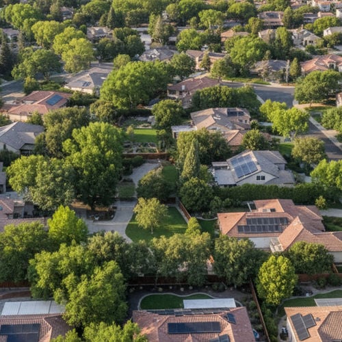What Buyers Need to Know About the Weather and Climate in Sacramento, CA in 2026