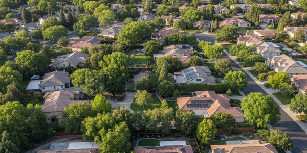What Buyers Need to Know About the Weather &hellip;