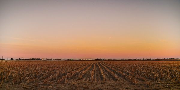 How Local Partnerships Are Shaping the Future of &hellip;