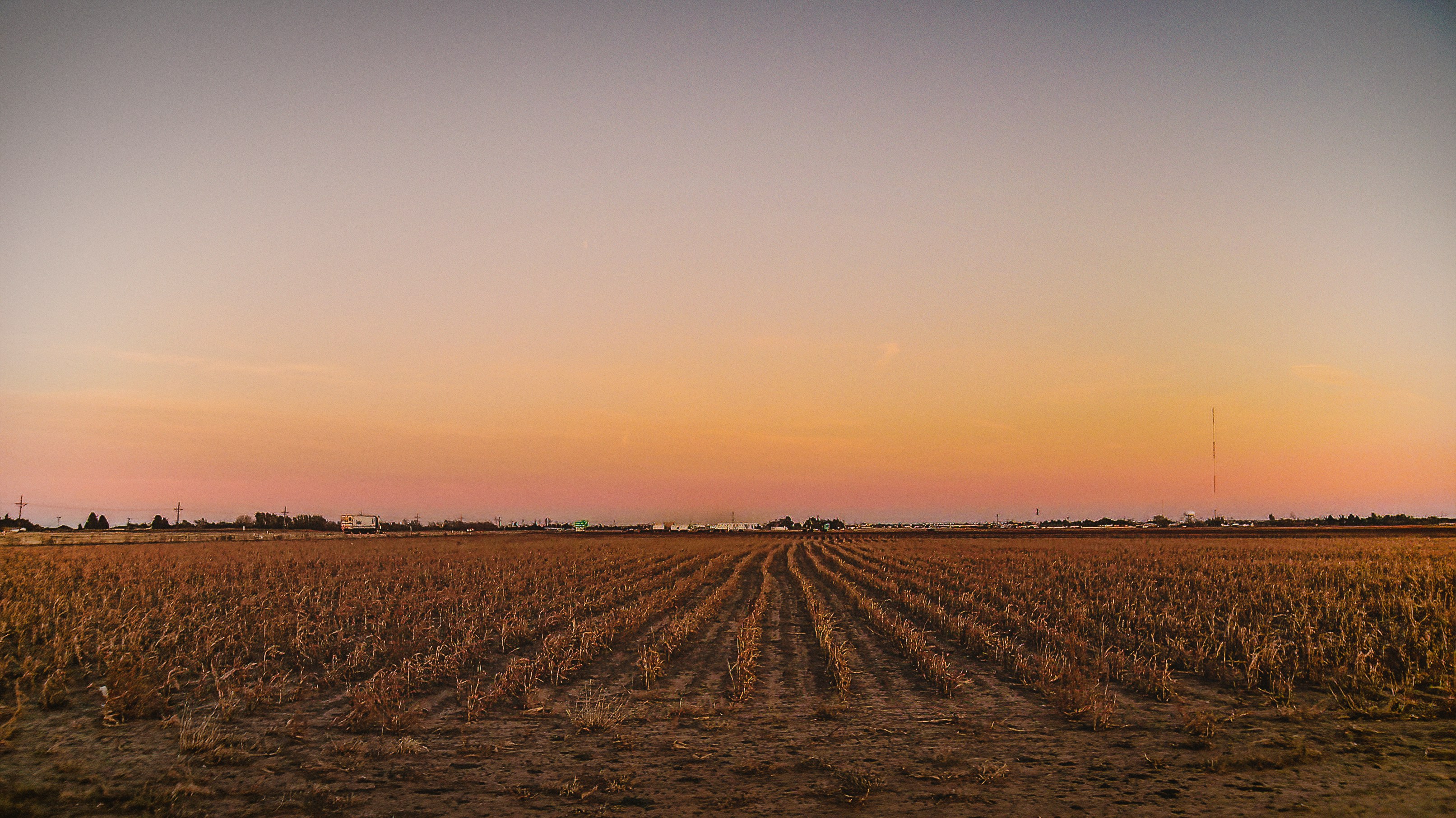 k-mitch-hodge-ihpe7WJOJJY-unsplash