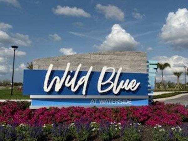 Wild Blue