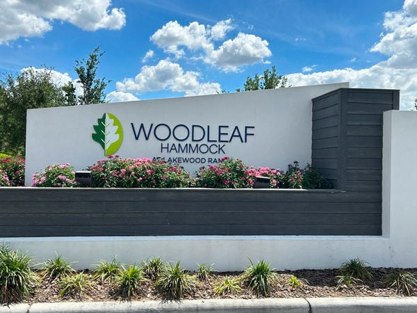 Woodleaf Hammock