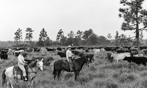 What Was Lakewood Ranch Before It Was Lake&hellip;