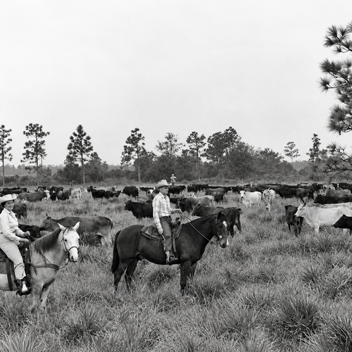 What Was Lakewood Ranch Before It Was Lakewood Ranch?
