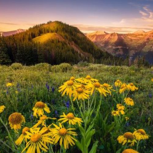 Is Crested Butte Worth Visiting? Here’s What Locals Say