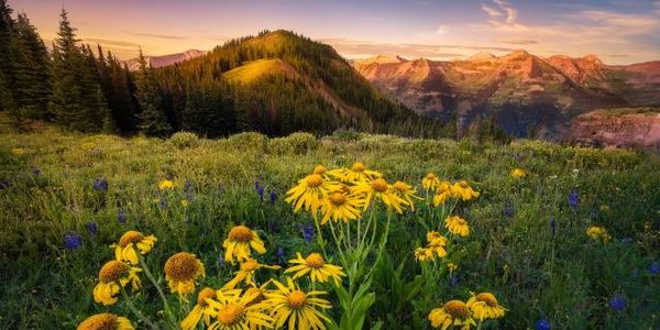 Is Crested Butte Worth Visiting? Here’s What Locals …