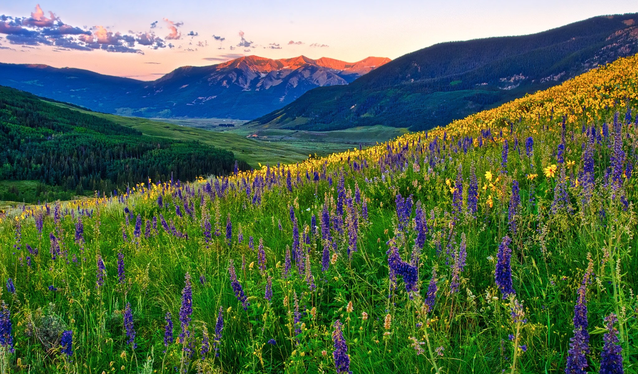 Crested-Butte_11