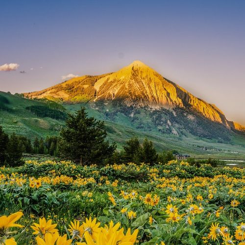 May 2025 in Crested Butte