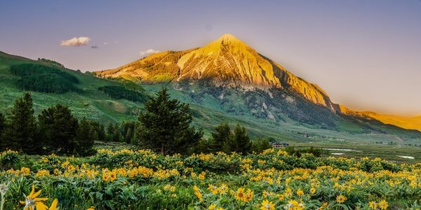 May 2025 in Crested Butte