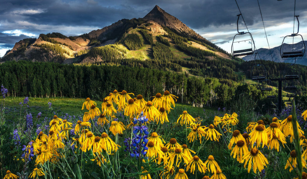 For Event Photos - Website (3)