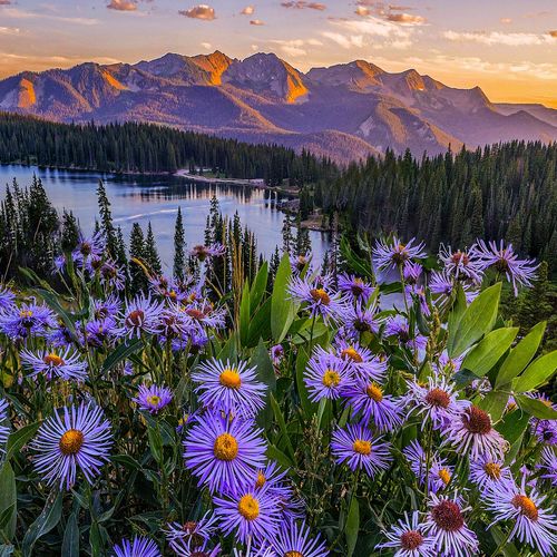 June in Crested Butte