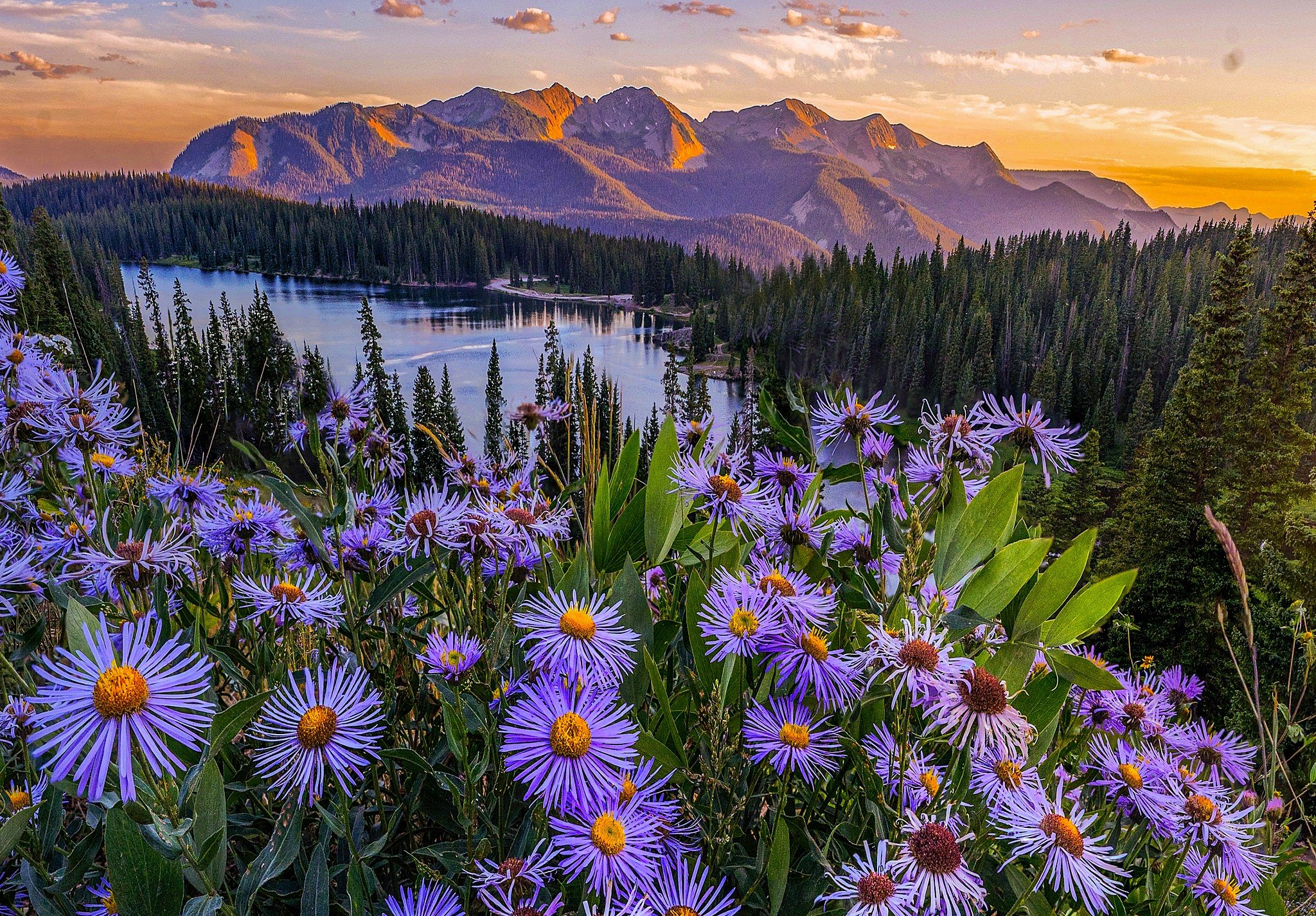 Crested Butte - June 2025