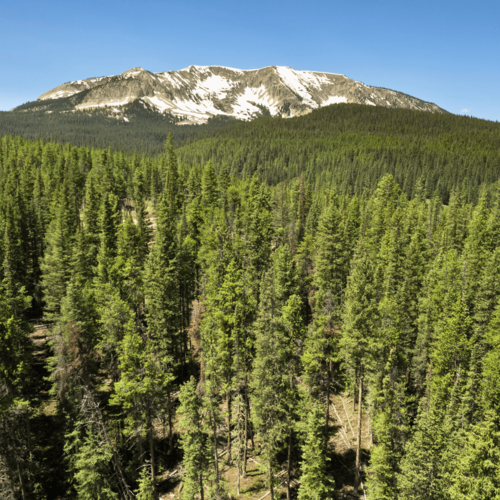 Just Listed | 5350 Wildcat Trail
