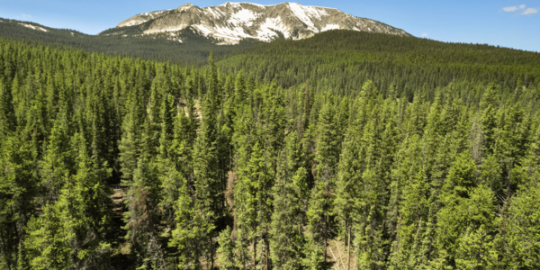 Just Listed | 5350 Wildcat Trail