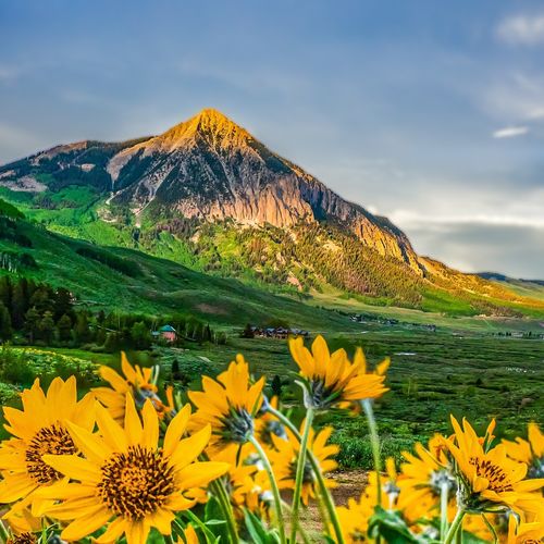 Crested Butte Second Quarter Market Report 2025