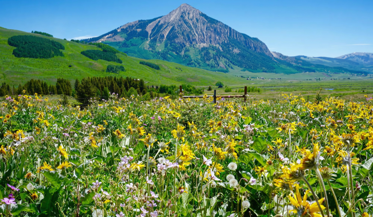 For Event Photos - Website (8)