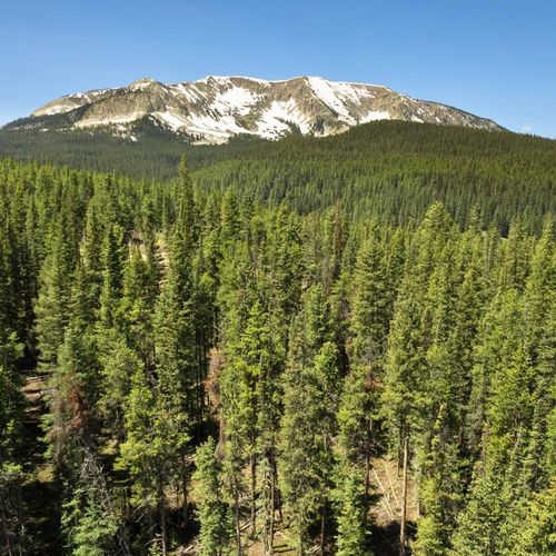 SOLD | 5350 Wildcat Trail