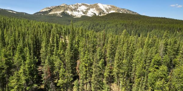 SOLD | 5350 Wildcat Trail