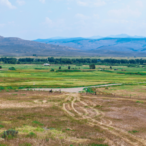 Just Listed | 623 Meadow View Trail