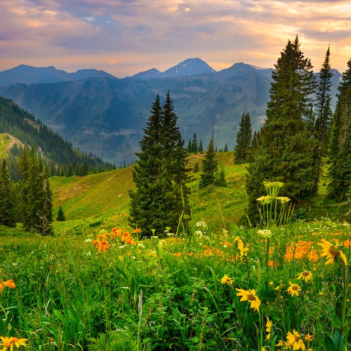 August 2025 in Crested Butte