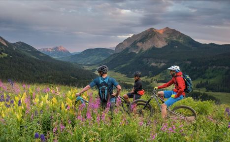 irwin-guides-01-1024x631