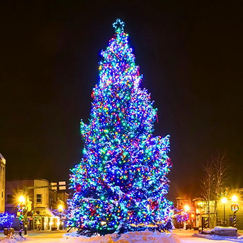 December 2025 in Gunnison